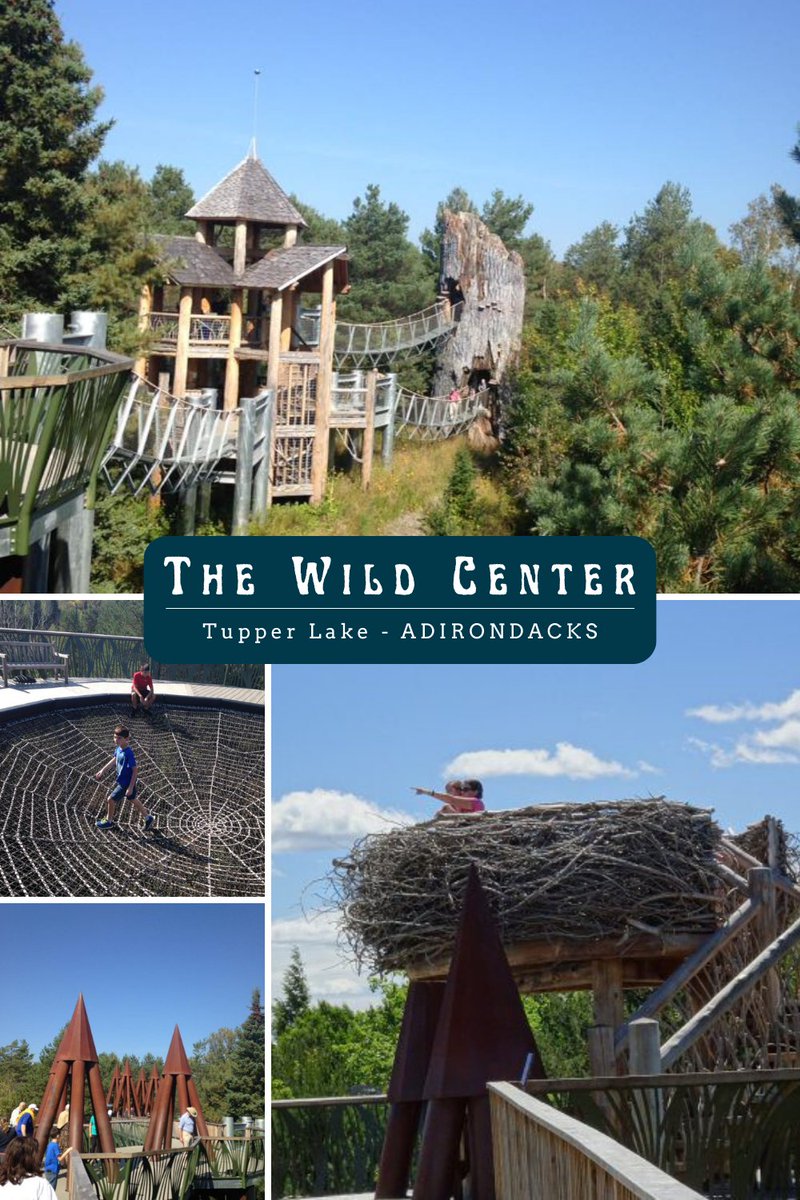 adventuresny.com/museums/adiron…
Explore one of New York State's most incredible hands-on museums and experience the Wild Walk. #travel #adirondacks #museum #Naturalhistory #Funwithkids