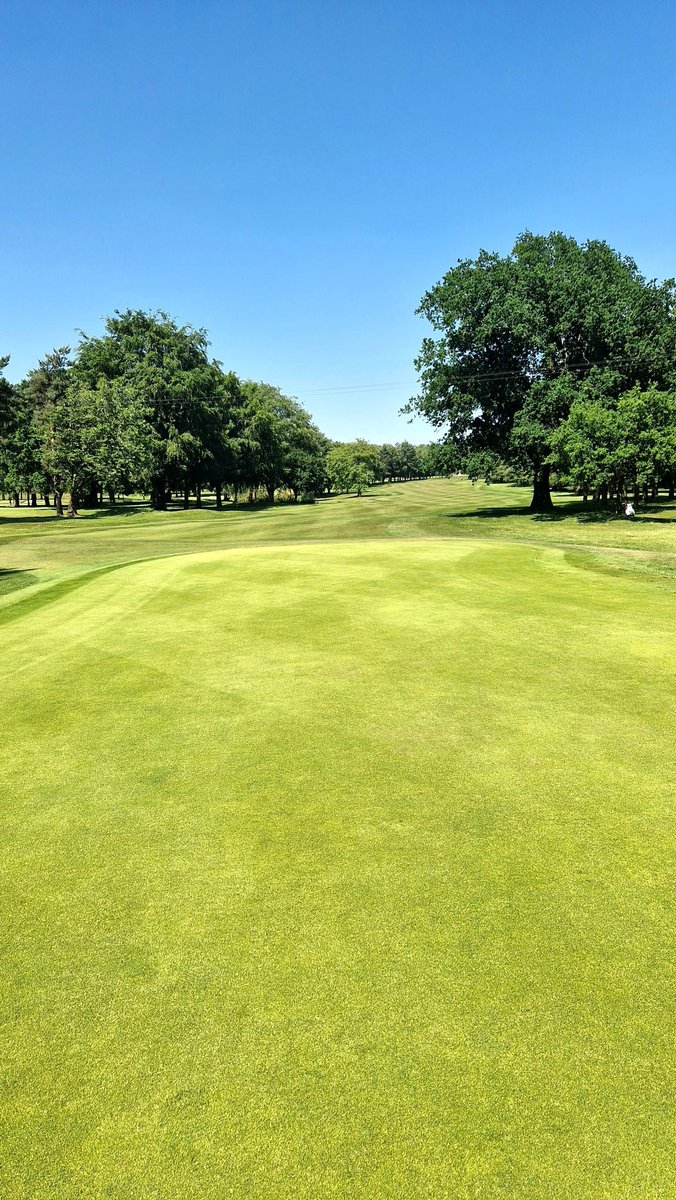 So pure! 
 <a href="/greenkeepermull/">Chris Mullett</a>