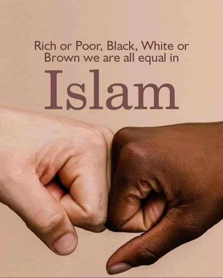 Elham20009's tweet photo. والله! چې اوس هم دې وطن کې جنګ او شر غواړې، نو زما په فکر بيخي په خدای باور نه لري.
شکر چې يو باامنه‌، سولييز او د پرمختګ په لور روان هيواد لرو‌. https://t.co/Zey1QQe455