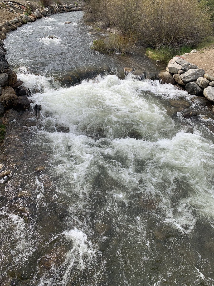 David Mayer MD tweet media