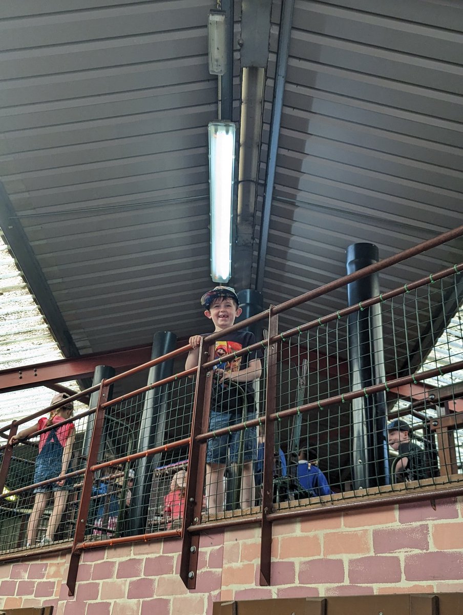 MrsStojanovic's tweet photo. An amazing (and very hot 🥵) day with the Primary 1 children visiting @AlmondValleyHC today! The boys and girls all had a super time! 🔆 @MissKMGrant1 1/3 https://t.co/73t5VNuEUm
