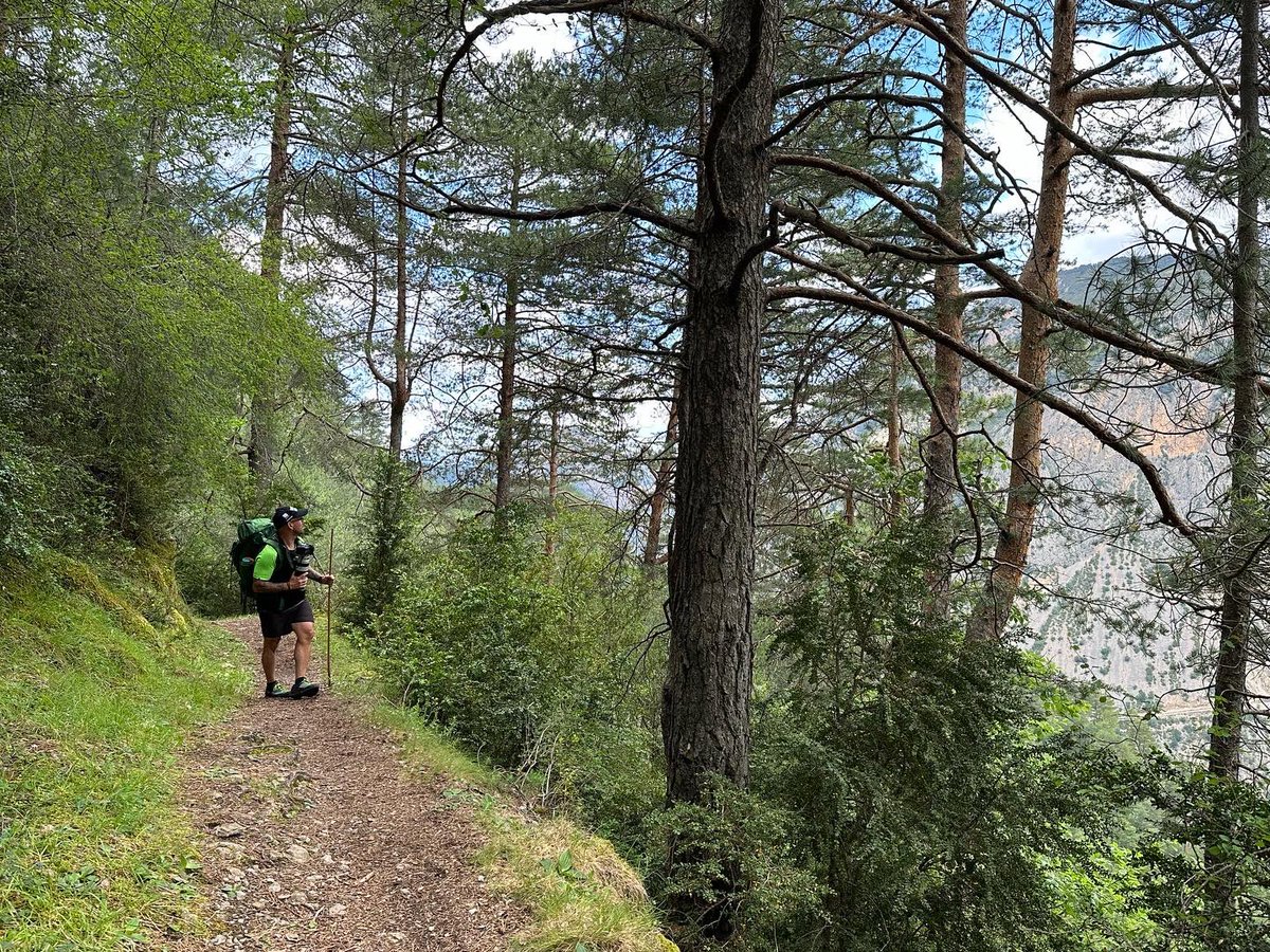 CristinaBodegas's tweet photo. Maravilla 💚
#ibondeplan #basalamora #valledeChistau #pirineos #sobrarbe #desconectarparaconectar https://t.co/upcy9TPQRc