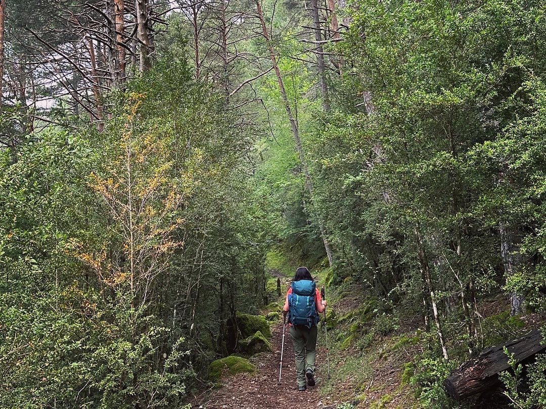 CristinaBodegas's tweet photo. Maravilla 💚
#ibondeplan #basalamora #valledeChistau #pirineos #sobrarbe #desconectarparaconectar https://t.co/upcy9TPQRc