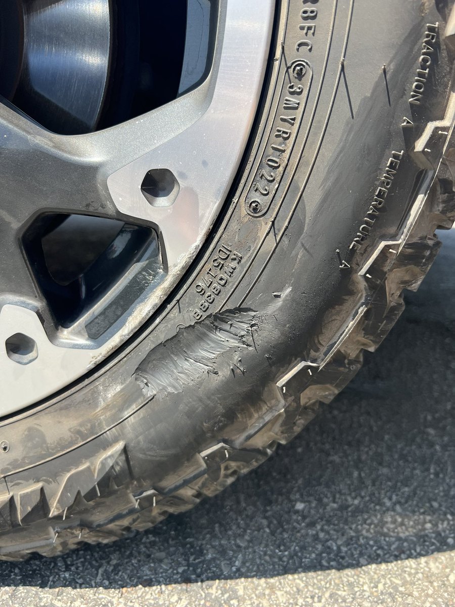 Ryan Melton tweet media