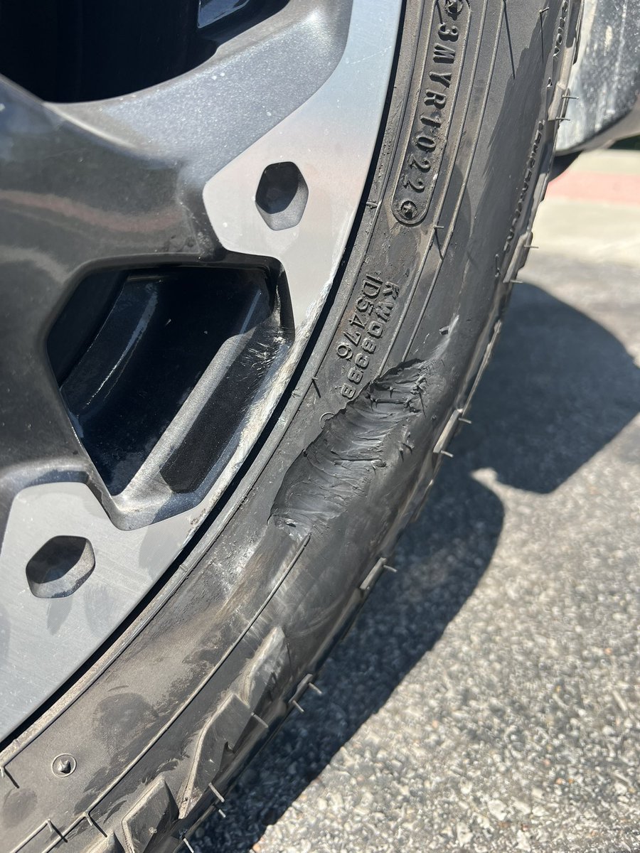 Ryan Melton tweet media