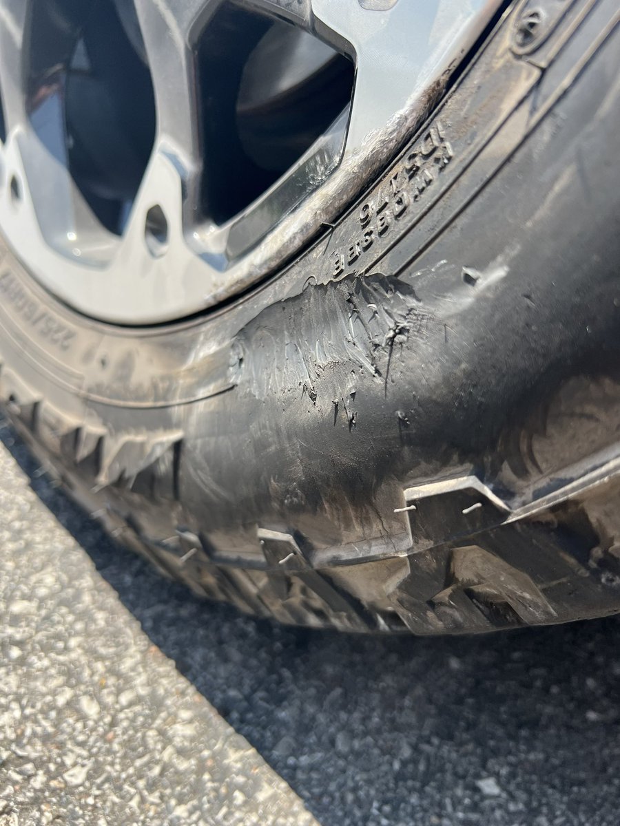 Ryan Melton tweet media