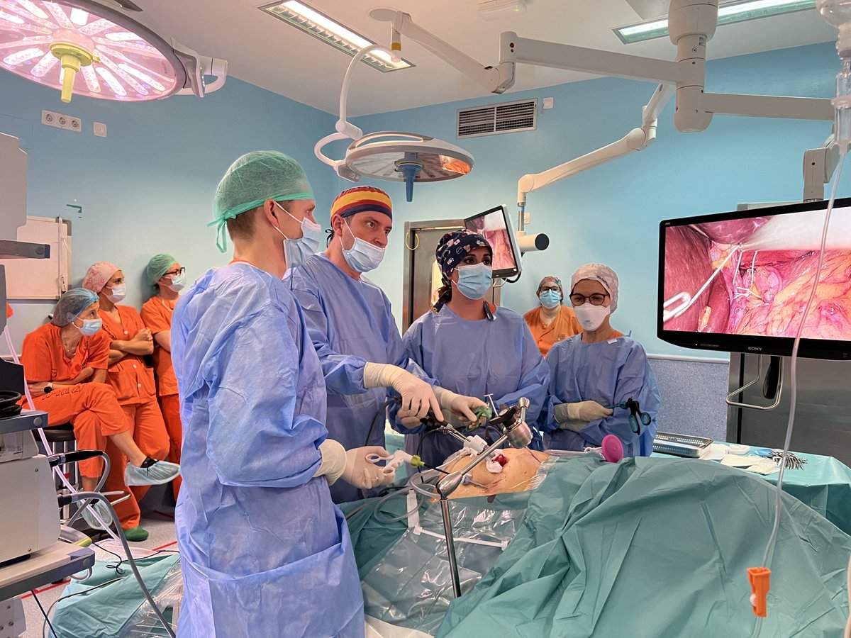 RefluxStop's tweet photo. .@SaludMadrid's Getafe University Hospital hosted six gastro surgeons for a #RefluxStop presentation by Prof. @JoergZehetner. 

The group moved to the OR to view two procedures, performed by Prof. Zehetner &amp; the 2nd by Dr. Alberto Hernández Matías. #ReflujoÁcido #GITwitter #GERD https://t.co/P4yYmFqZwR
