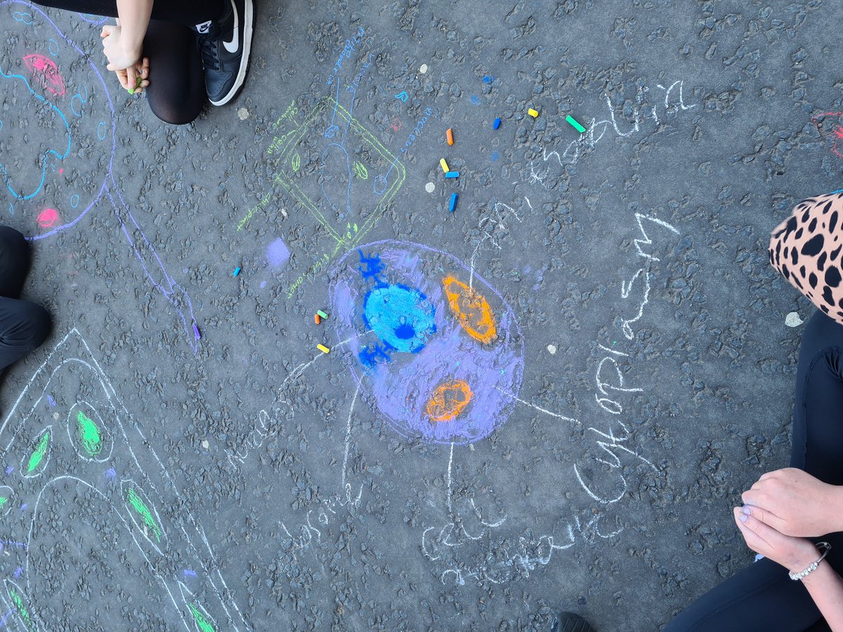 Duncanrig_Bio's tweet photo. Nothing else for it in this heat - took s3 outside to draw some colourful cells 🦠🌿 https://t.co/EVLGKW8MmW