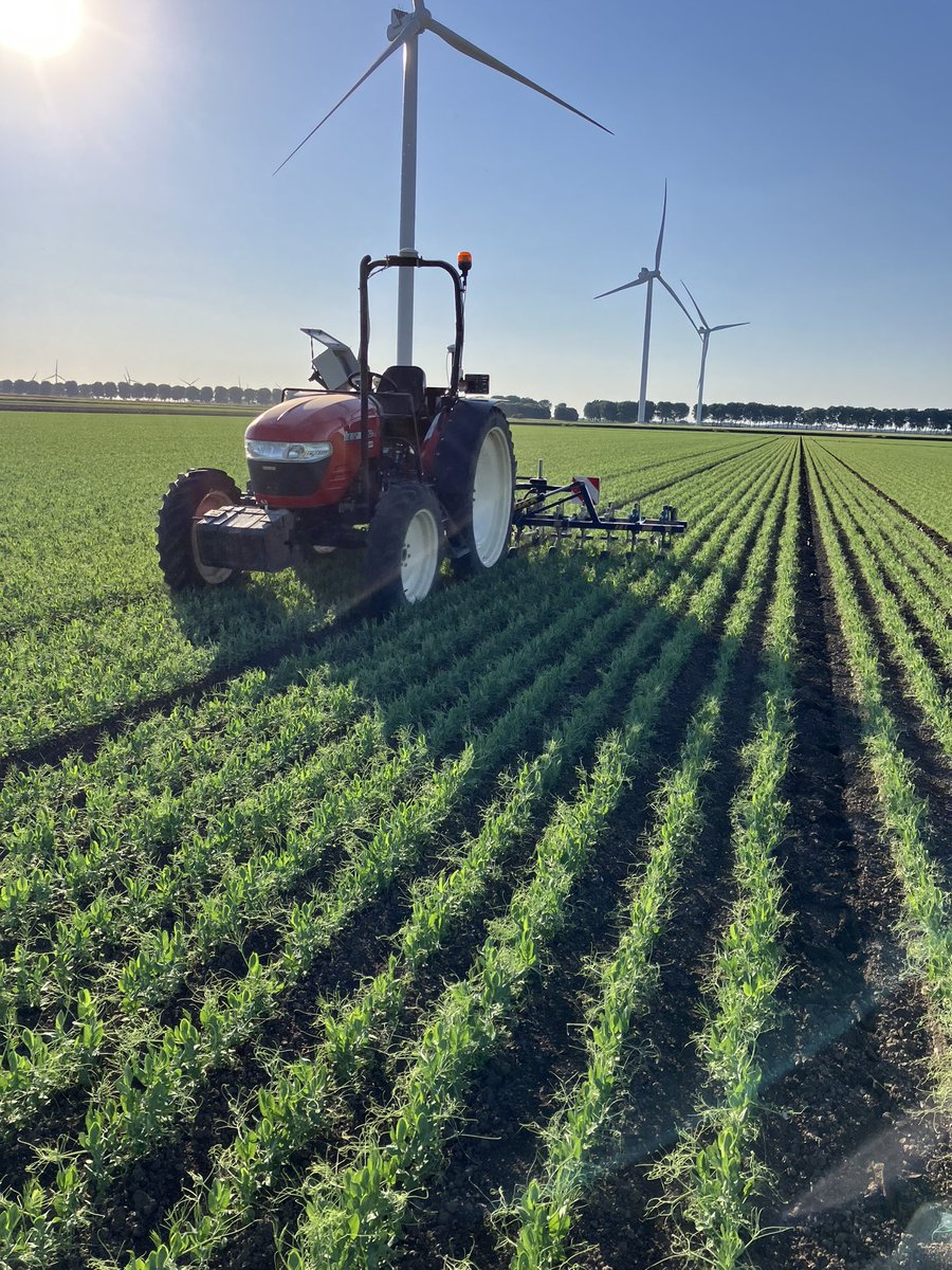 ChrisDeGroot16's tweet photo. De laatste keer schoffelen in de erwten.
Met dit weer is het extra genieten op de cabrio🤠 https://t.co/WCzUWOxlPD