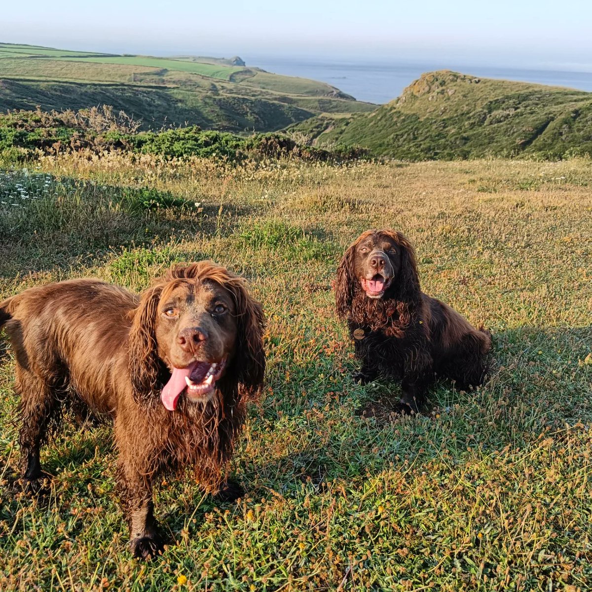 Rob Edlin tweet media