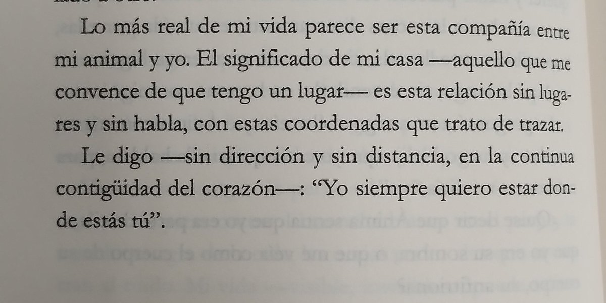 AlexOrfeo's tweet photo. Qu conmovedor es este fragmento. Qué descripción tan preciosa, @SaninPazC . Bendito sea el momento en el que llegué a tu literatura. Admito, sin intención de imitar, que siento lo mismo por mi peluda.

Carolina Sanín
Somos luces abismales 
Fragmento del ensayo «El sosiego» https://t.co/GMNzxcnpkJ