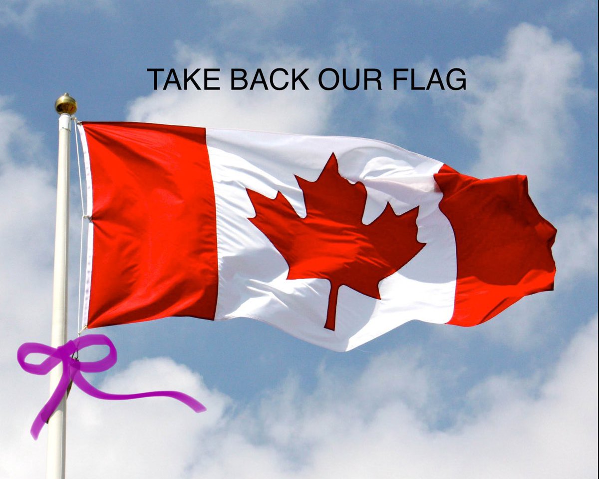 Should this Canada Day be Take Back Our Flag Day?
For those Canadians who are sick of the hate/anger
Believe in climate change
Believe in women right to choose
Believe in the rights of 2SLGBTQIA+
Want to stop private healthcare

(Pls feel free to add) 

#TakeBackOurFlagCanada
