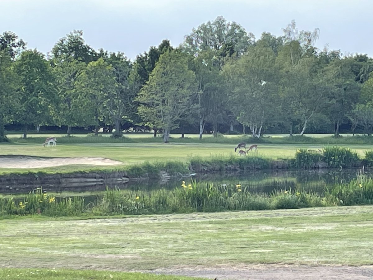 #Golf ⛳️ Road to see single figure HCP 🏌️‍♂️ 2 rounds played the last couple of days…. Day 1 Course: Stapleford Abbotts (Par 72) Score: 104 Stableford: 29 points Birdies: 1 Pars: 1 FIR: 14% GIR: 11% Putts: 31 Shocking front 9, including 5 yes 5 shots to get out a bunker 1/2