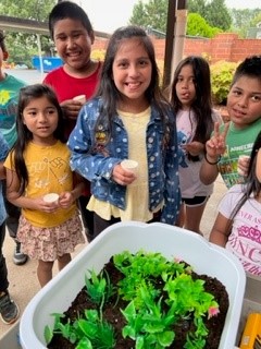 BeverlyAtsma's tweet photo. Students experiment with erosion and teachers who create a fun and engaging learning camp! Yay! @OGESeagles @CherokeeSchools https://t.co/gQ5cWQe7bG