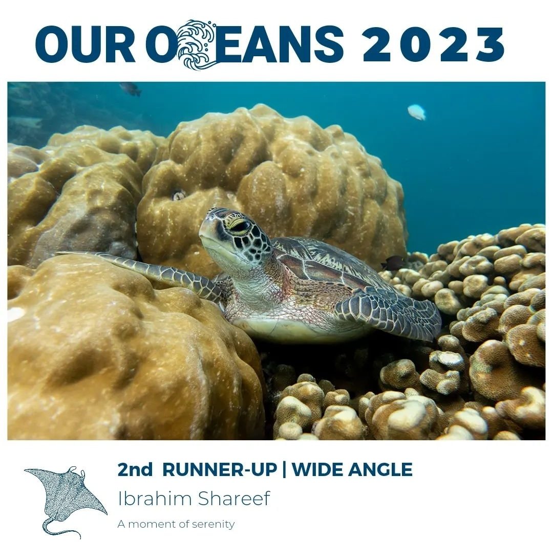 2nd Runner-up | Wide Angle
"A moment of serenity" 
Congratulations Ibrahim Shareef <a href="/oxibbe/">Ibbe</a> 

<a href="/fourth_element/">fourth element</a> <a href="/SwissD1VER/">Swiss D1VER Watch</a> <a href="/visitmaldives/">Visit Maldives</a>