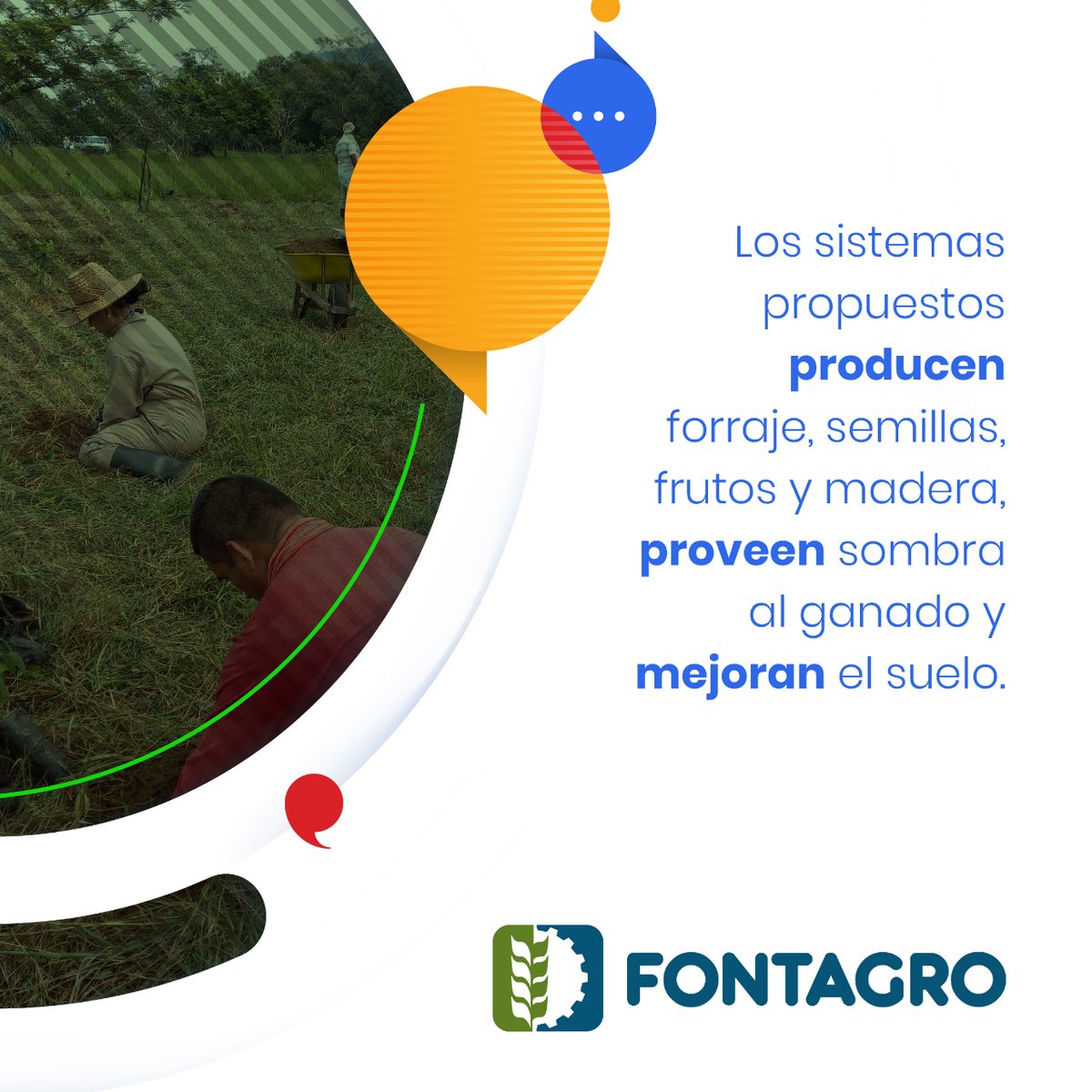 FontagroLAC's tweet photo. Con el fin de lograr una mejora sostenible de la ganadería familiar en Perú 🇵🇪 y Colombia 🇨🇴 , el proyecto Sistemas silvopastoriles multipropósito y ganadería familiar llevado adelante por FONTAGRO 👉 https://t.co/LVkB0QEp3o