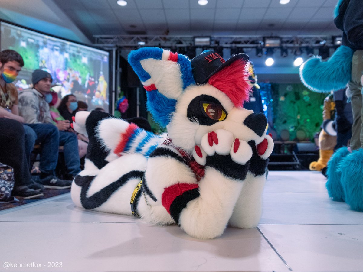 Am I pretty 🥺 

📸 @kehmetfox 
✂️ @ThePhoenixNest_ 
📍 @FurSquared