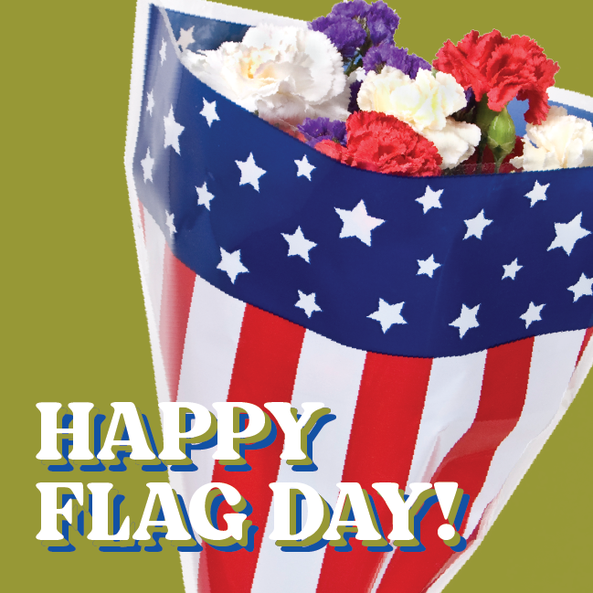 aroocompany's tweet photo. Happy Flag Day!

https://t.co/28IcZOGfBI https://t.co/KXUOULWFVn