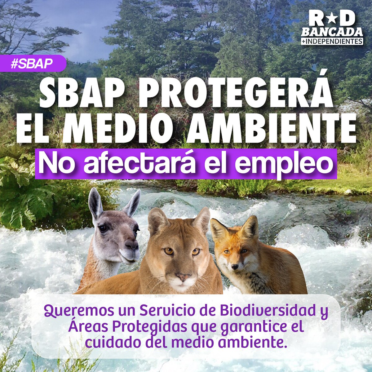 Diputad@s Frente Amplio.cl tweet media