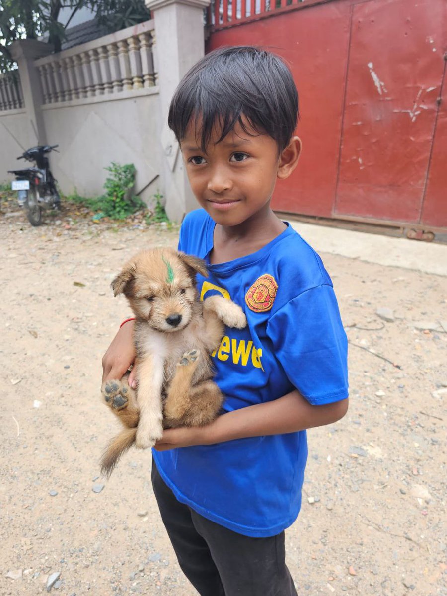 Mission Rabies tweet media