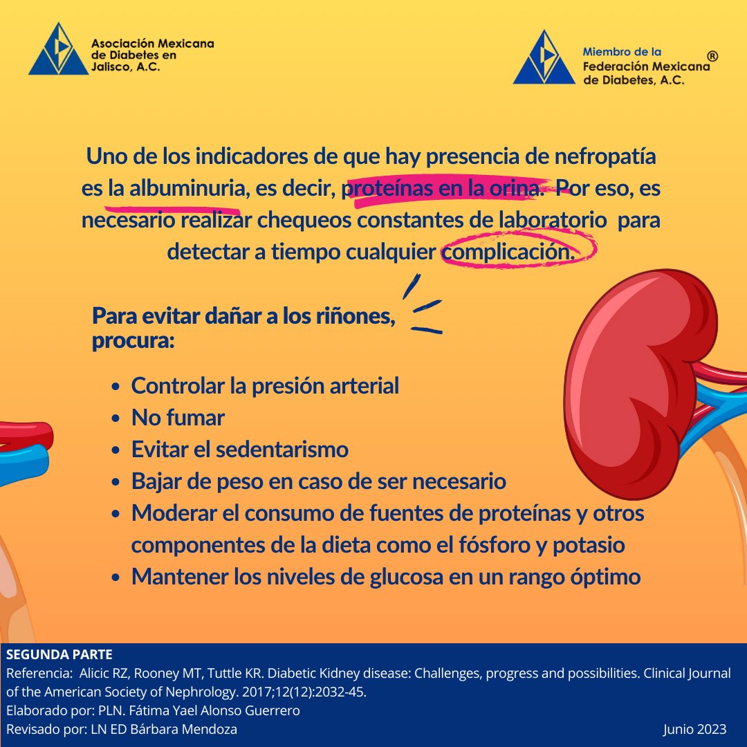 AMDJalisco's tweet photo. Cuidar de los riñones se vuelve un paso muy importante cuando se vive con diabetes.
Recuerda acudir con tu médico y nutriólogo para tener un cuidado integral y prevenir alguna complicación a futuro.
 
#EducacionEnDiabetesParaTodos https://t.co/RLnI1cH0k8