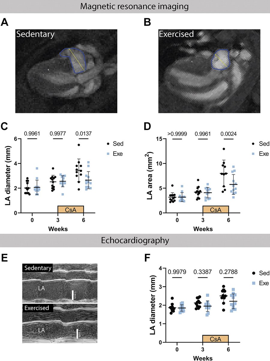 New findings indicate mild beneficial effects of #exercise initiated before #HypertrophicCardiomyopathy phenotype development, specifically lower #ExtracellularMatrix gene expression & left atrial dilatation, and importantly, no detrimental effects. ow.ly/BGju50OOoHZ