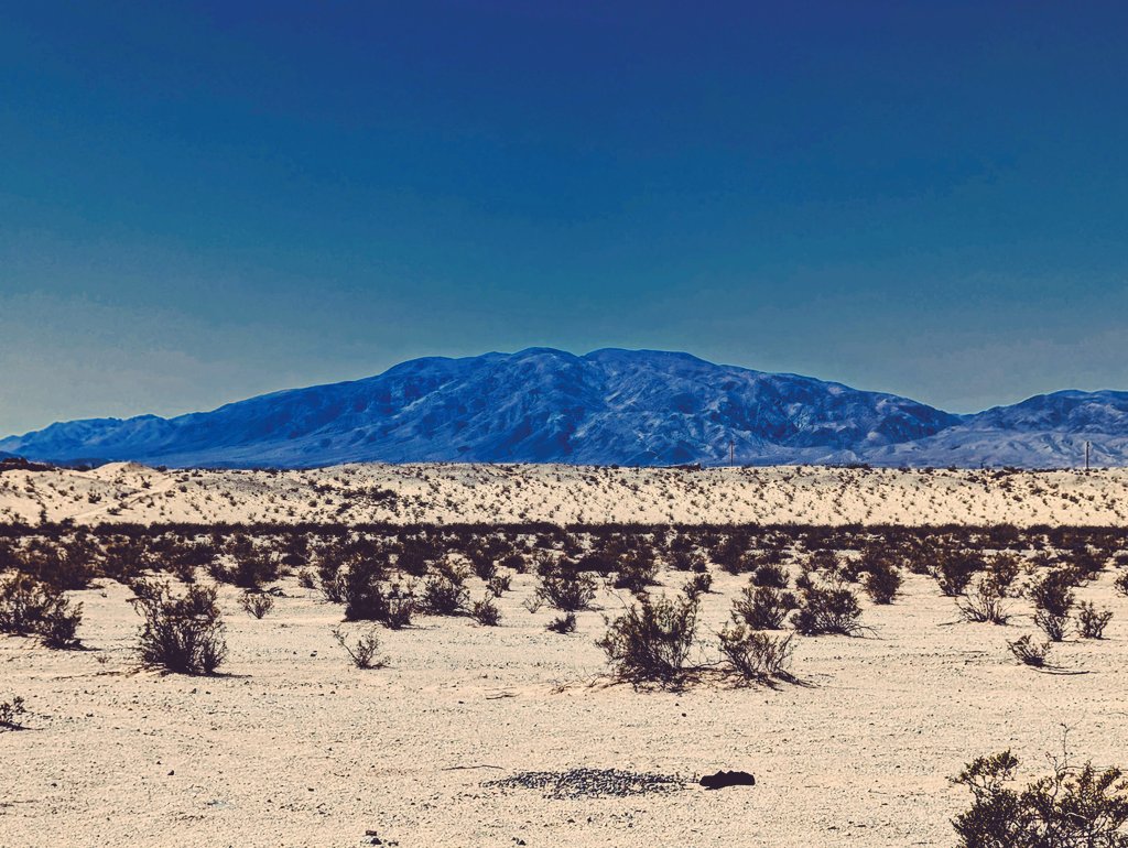 CosmicCowboy's tweet photo. In front of me or behind me it's all Mojave Desert. Riding around the neighborhood. #Wednesdayvibe #mojavedesert #hidez https://t.co/4zpHn8Ouv3