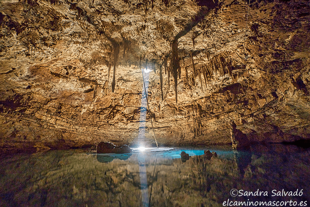 Caminomascorto's tweet photo. Cenote Kalot Jool, Yucatán
👉🏽https://t.co/KuIfnl5BIq
#cenotesyucatan #cenotesmexico #cenotes #cenoteando https://t.co/sGOVJFzQ1F