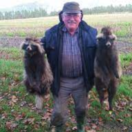 daniel_biscuits's tweet image. With me and my Grandpa RN! We are catching some Wild Racoons in the desert in a bit 😀