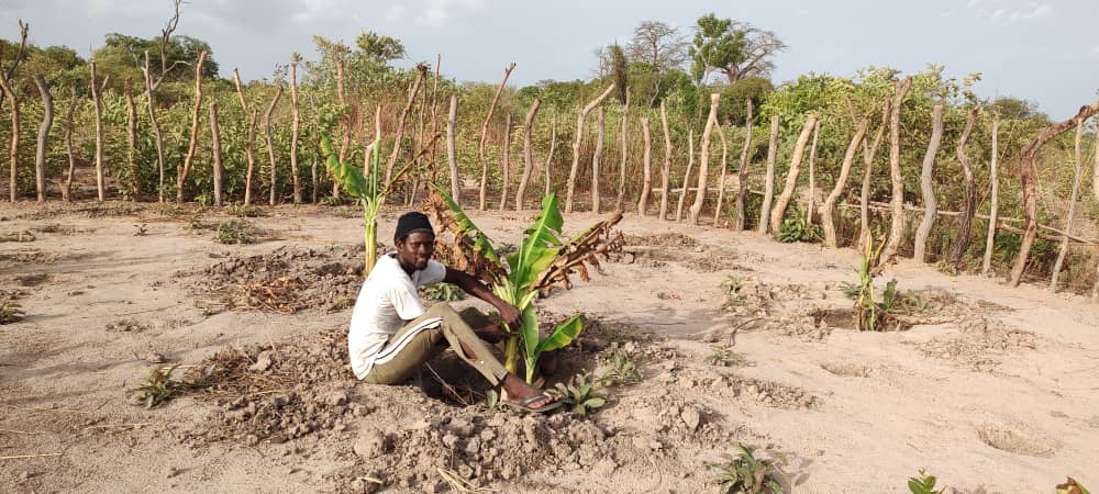CasaBio2's tweet photo. 🍉Premières récoltes et aménagement d’un étang piscicole dans la ferme du GIE agropiscicole #BioVision de Bagadadji, dans le cadre du projet « #AgroPisciBIO, réalisé par #CasaBio et mis en œuvre par #GFA dans le cadre du programme « Réussir au Sénégal » de la #GIZ #agroécologie https://t.co/XFqsqZ2tx0