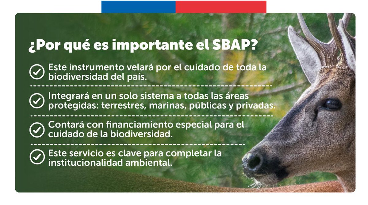 😃 ¡Hoy es un día histórico! Luego de 13 años, Chile contará con una ley para proteger su biodiversidad 🐬🐇

✍🏽 La sala de la Cámara de Diputadas y Diputados aprobó y despacho el proyecto que crea el Servicio de Biodiversidad y Áreas Protegidas (SBAP) 🌱

 #LeyParaLaNaturaleza