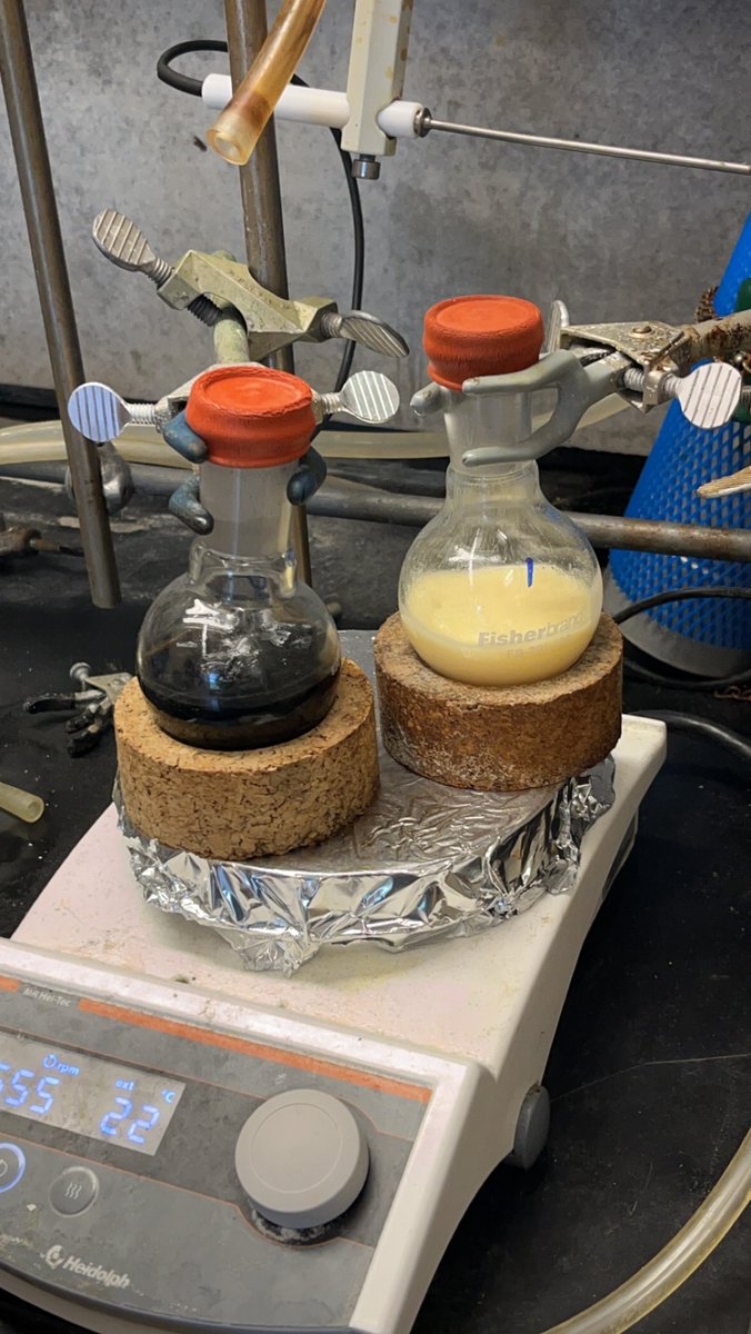 ⌬ anna davis! ⌬ tweet media