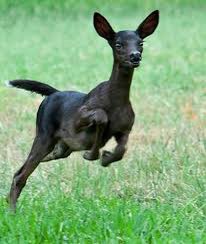 Donut Operator 🍩 on Twitter: "@NotMikeHarlow @PopCrave Beat me to it