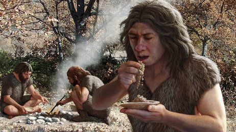 The evolution of early hominin food production and sharing #evolutionsoup #evolution #paleontology #paleoanthropology #science 
👉🏿👉🏼is.gd/3ANQA3