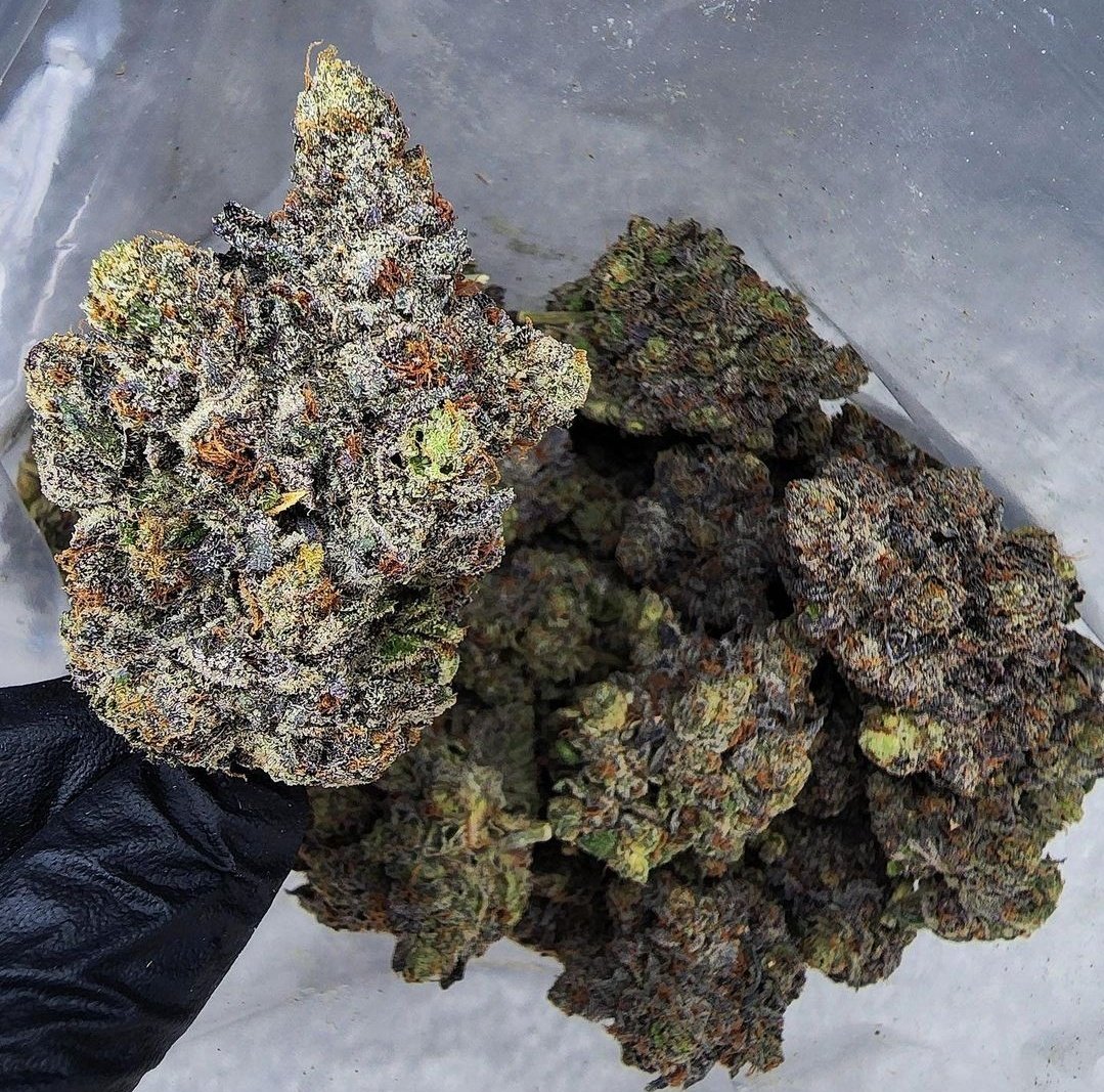 Happy Humpday! Would you smoke this flower? mastertokes.com/product/jezebe… #cannabisismedicine #bcbud #canadianstoners #CannabisCommunity