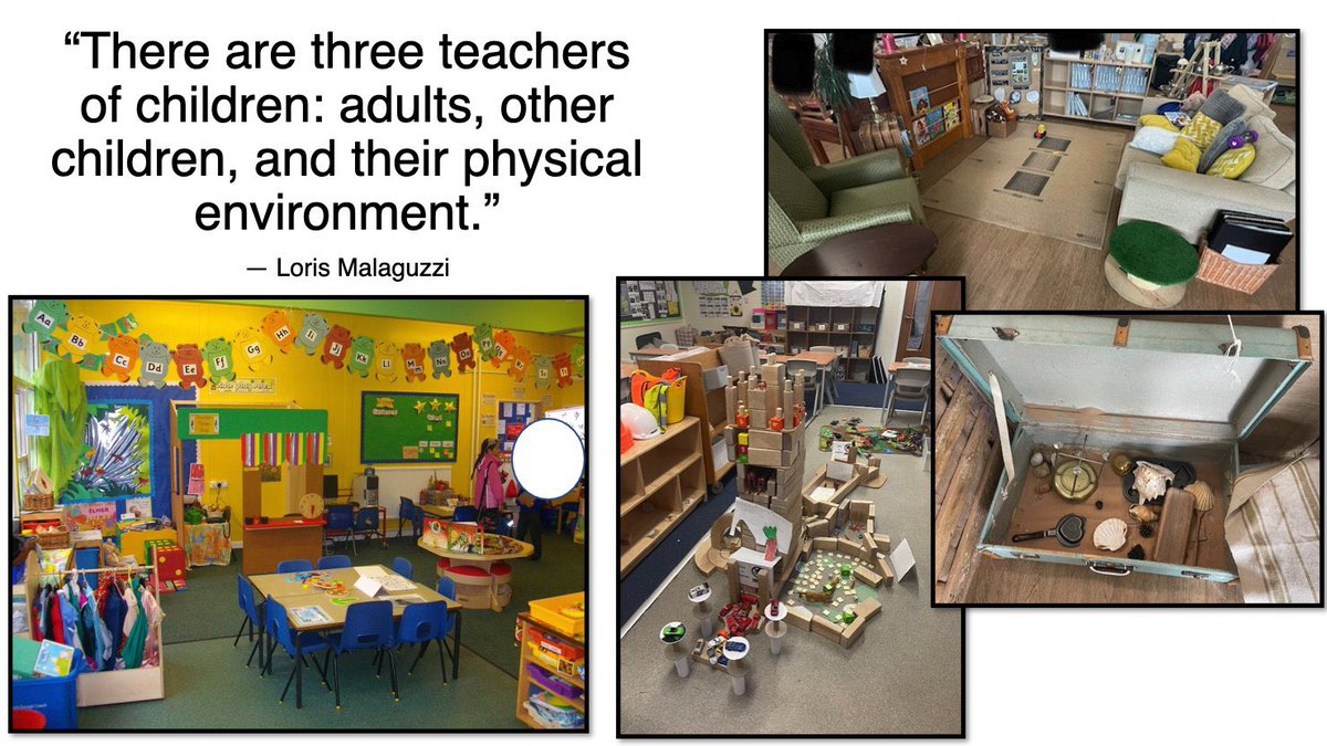 Maeve McCouaig tweet media