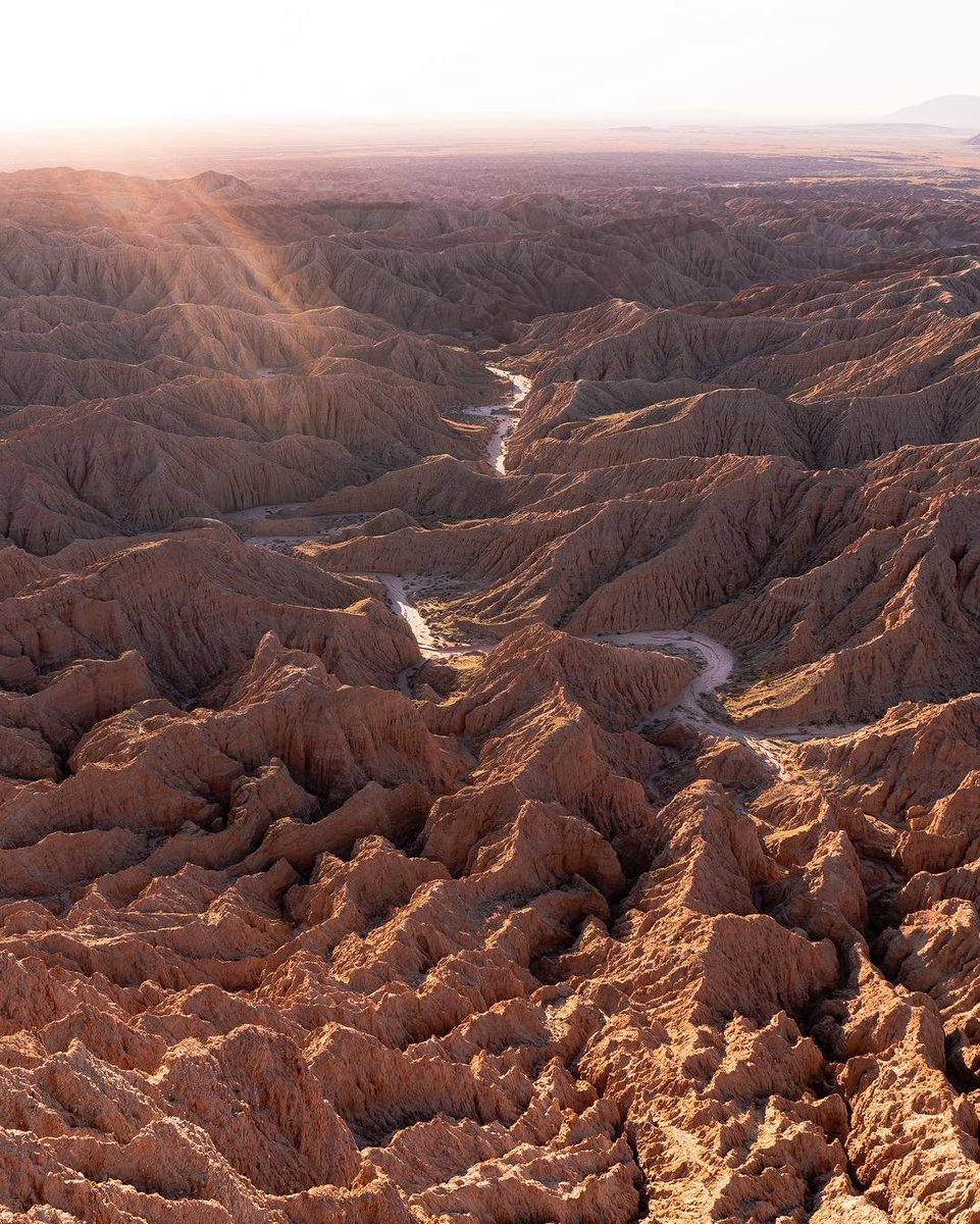 Happy #CaliforniaStateParksWeek! ⛰️ California has 280 state parks... more than any other state in America! Find your new favorite in our California State Parks: An A to Z Guide: bit.ly/3A1YaWG 

📍Anza-Borrego Desert State Park

📷 wyaderek on IG