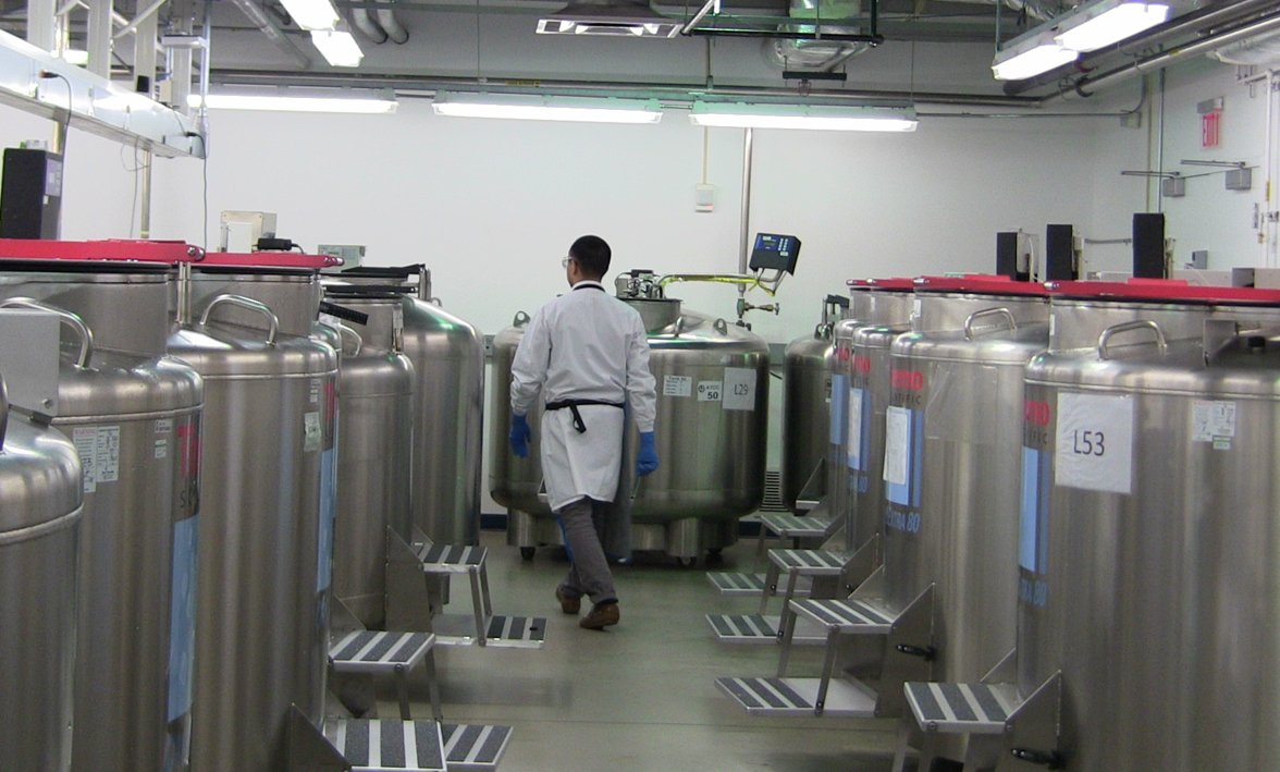 officialatcc's tweet photo. Check out our recent #scientific poster to learn about the need for standardizing freezing processes when #cryopreserving biomaterials in production environments. https://t.co/clwK9yYOWD https://t.co/d9xWYC7O41