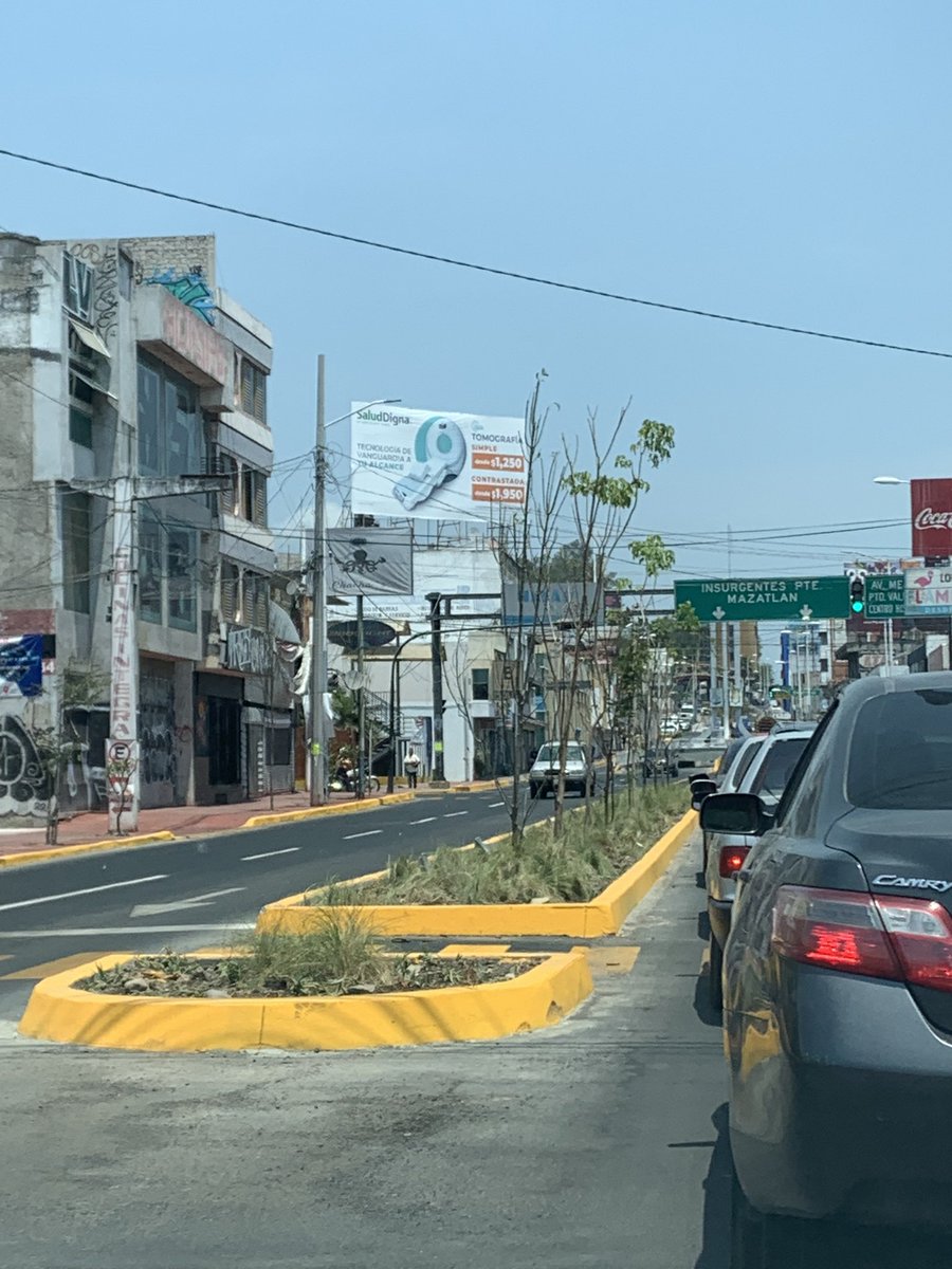 AVEFENIX08's tweet photo. @maxoropezap @gilgago amigos! Es mi impresión o se están secando(muriendo) algunos de los árboles recién plantados sobre Av insurgentes! Que dicen? @joseluisnaranjo o acaso traerán el mismo sello del ahuehuete? https://t.co/Hz8FfoxNua