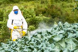 Over 98% of sprayed insecticides & 95% of herbicides reach a destination other than their target species, because they are sprayed or spread across entire agricultural fields.@kilimoKE @PCPB_Kenya
@PA_EastAfrica @Article43Rights @ChangeOrgKE
#NJAARevolution
#FOODSovereigntyNow