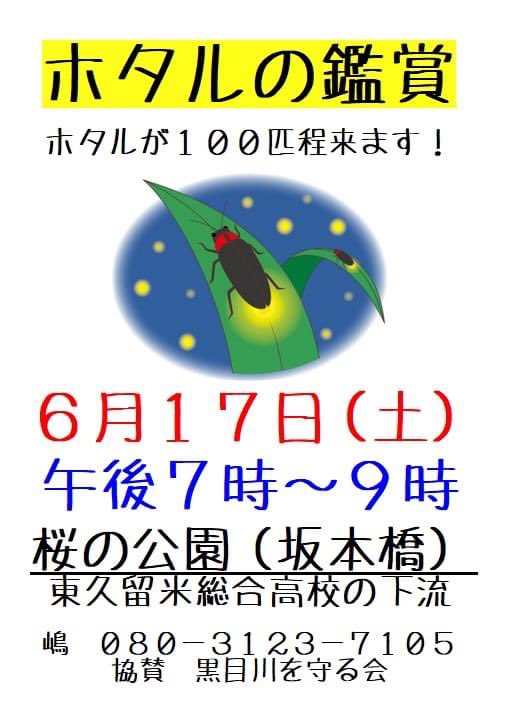 medakasha3's tweet photo. 桜の公園でホタル鑑賞会❗️
地元のお父さん達、頑張って実現してくれました。
蒸し暑い夕暮れ、よく光るそうです。
＃ほたる ＃東久留米 
＃黒目川 #桜の公園 https://t.co/y3glUs1wyw