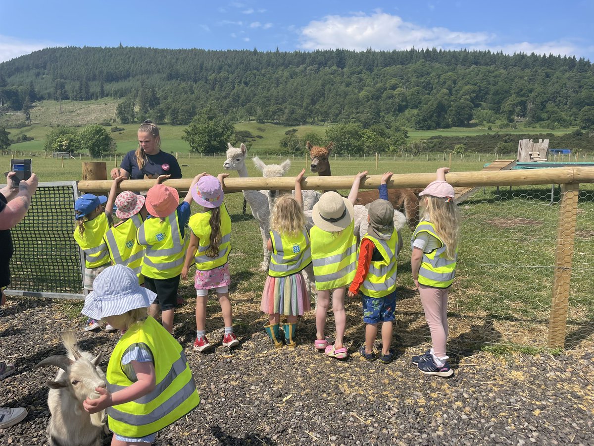 DochgarrochP's tweet photo. What an amazing day out for our ELC end of year trip. The morning at Inverness Botanic Gardens and then a fabulous afternoon at Farm Ness. https://t.co/ZSqbuW0t3I