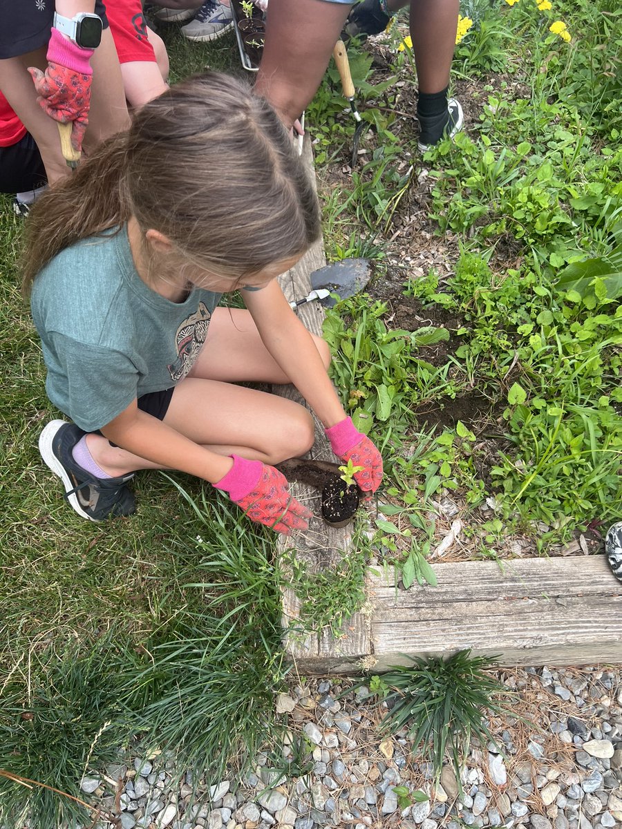 Ms. Mueller tweet media