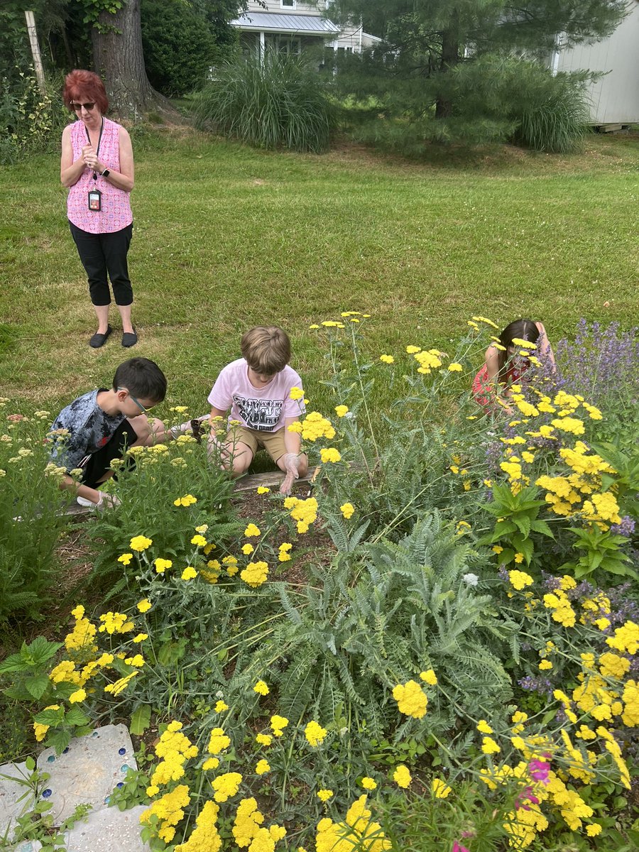 Ms. Mueller tweet media