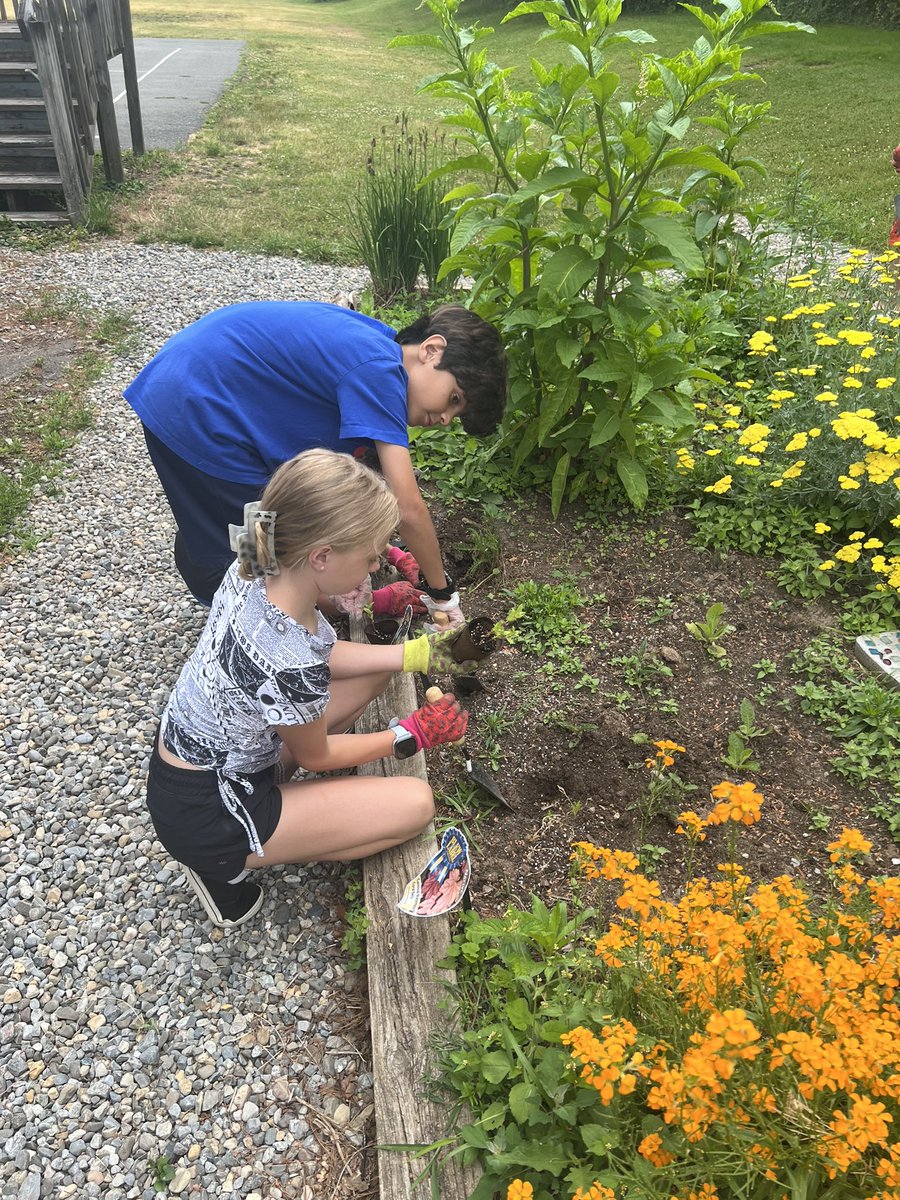 Ms. Mueller tweet media