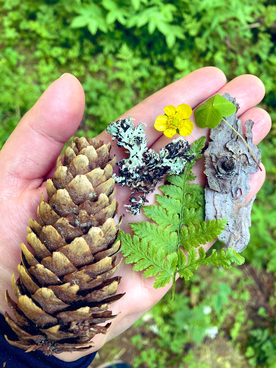 #ulosutout -tapahtumassa Nurmeksessa vedetty kulttuuriperinnön työpajoja, maailmanperintöä virtuaalisesti ja pyöritetty tietysti #perintöhyrrä kaikki meidän materiaalit löytyy tietysti #kulttuurinvuosikello etusivulta
