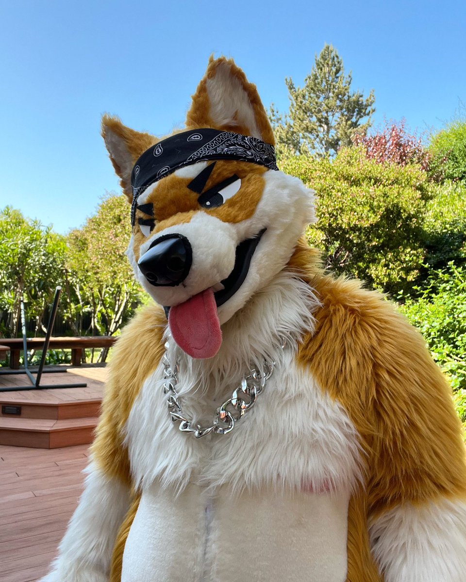 woof

#furry #fursuit