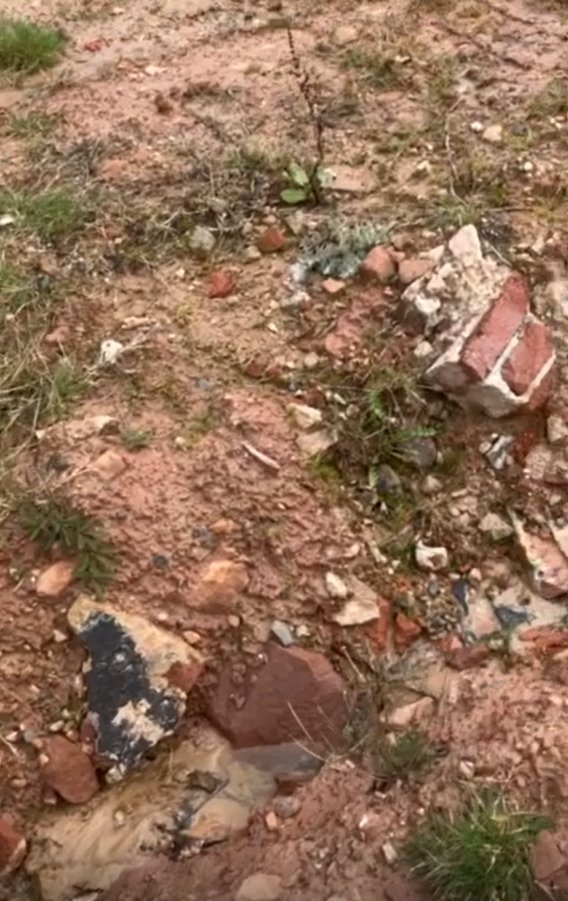 Weitere Giftfunde auf der A49 Trasse erfordern umgehend einen neuen Baustopp!!!!  #a49illegal    
danni-lebt.de/un-recht/giftf…