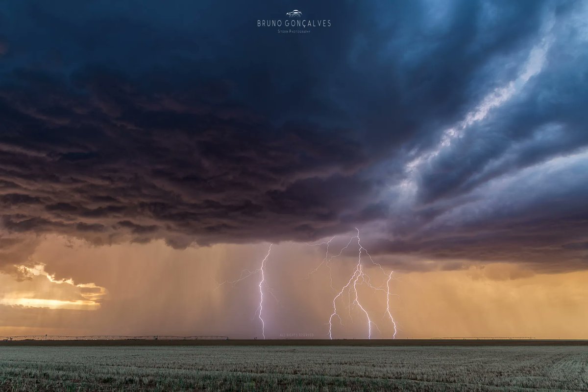 Quadruple #lightning strike near Lamesa, #Texas by @ExtremAtmosfera. Taken on May 21, 2023 ⚡ More #storm photos from Bruno: bit.ly/brunogoncalves… 

#txwx #tornadoalley #wxtwitter @spann @JimCantore @StormHour @ThePhotoHour @MikeOlbinski @ReedTimmerAccu