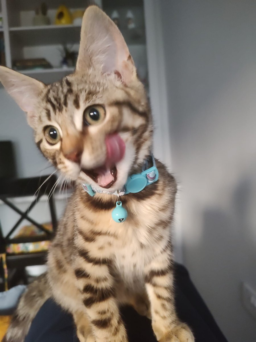 Dimitrios Polymenos tweet media